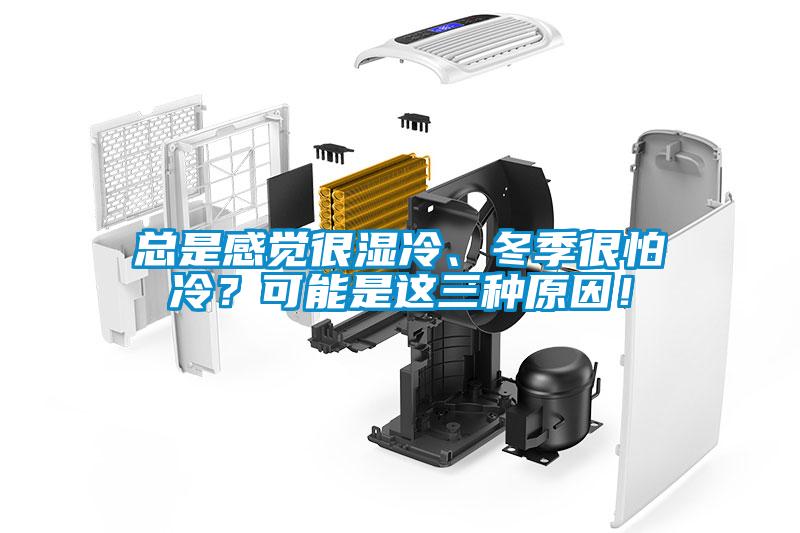 总是感觉很湿冷、冬季很怕冷?可能是这三种原因!
