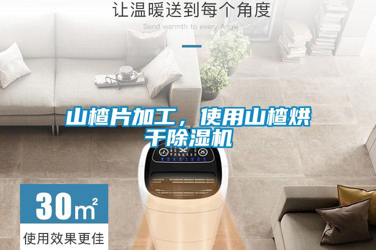 山楂片加工,使用山楂烘干除湿机
