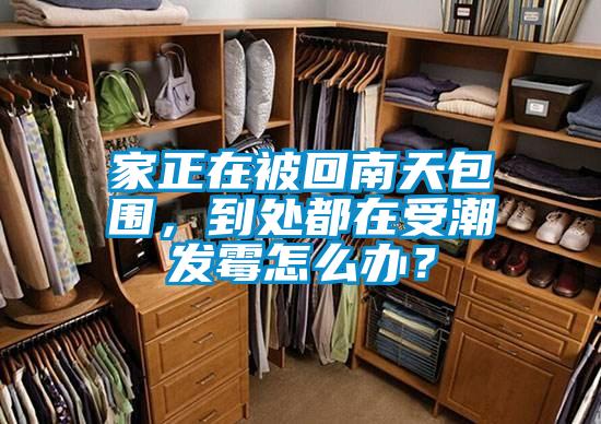 家正在被回南天包围,到处都在受潮发霉怎么办?
