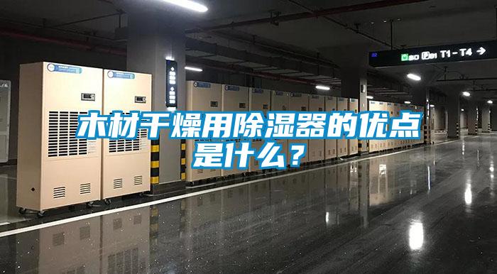 木材干燥用除湿器的优点是什么?