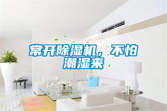 常开除湿机,不怕潮湿来