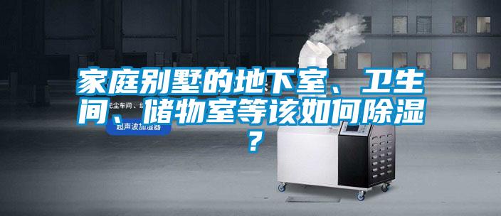 家庭别墅的地下室、卫生间、储物室等该如何除湿?