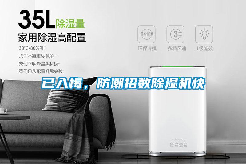 已入梅,防潮招数除湿机快