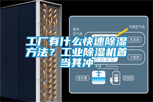 工厂有什么快速除湿方法?工业除湿机首当其冲