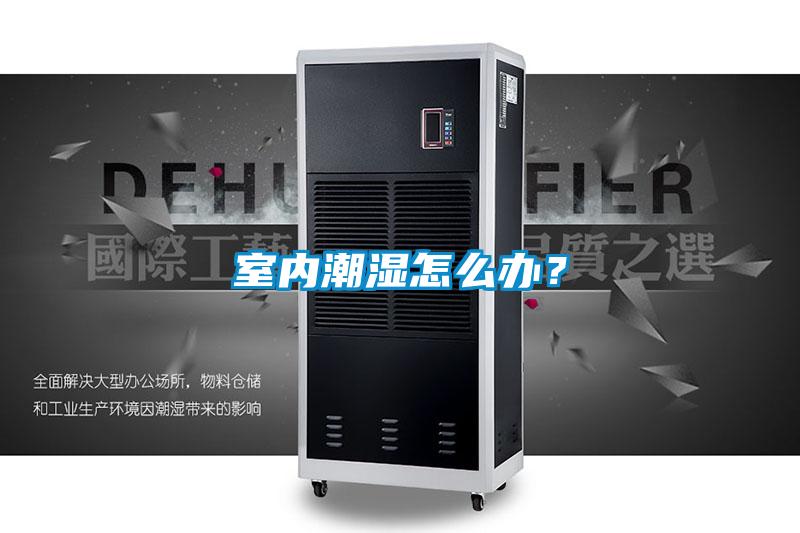 室内潮湿怎么办?