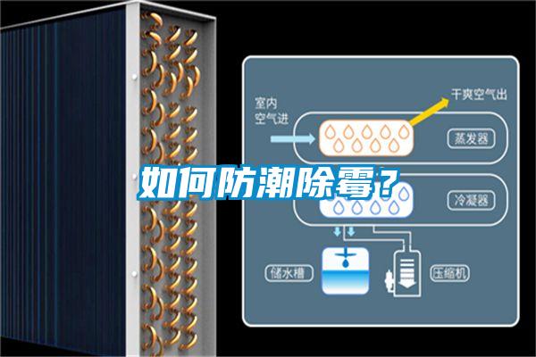 如何防潮除霉?