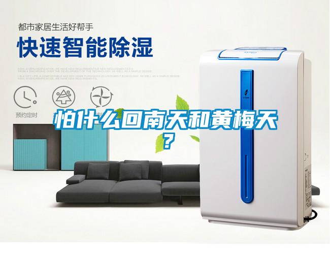 怕什么回南天和黄梅天?