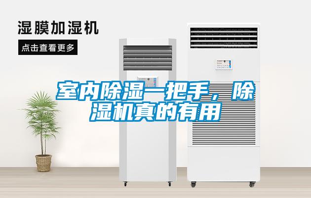 室内除湿一把手,除湿机真的有用