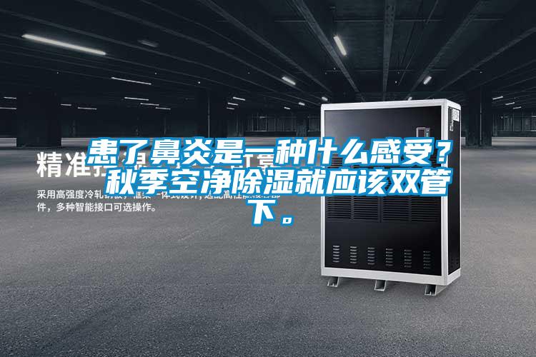 患了鼻炎是一种什么感受? 秋季空净除湿就应该双管下。
