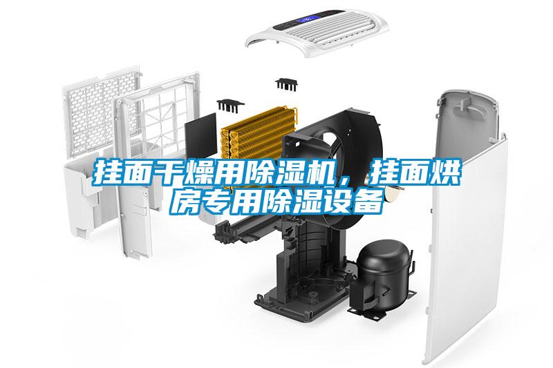 挂面干燥用除湿机,挂面烘房专用除湿设备