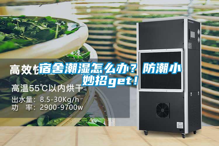 宿舍潮湿怎么办?防潮小妙招get!