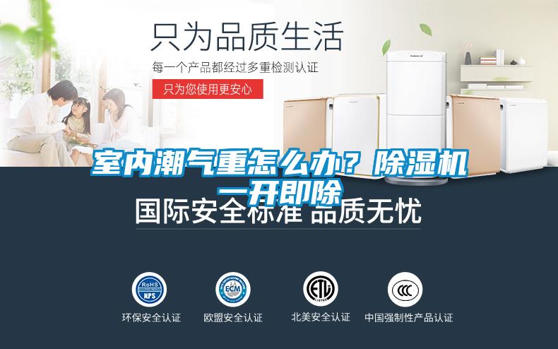 室内潮气重怎么办?除湿机一开即除
