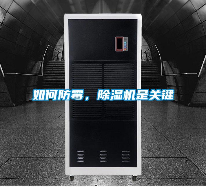 如何防霉,除湿机是关键