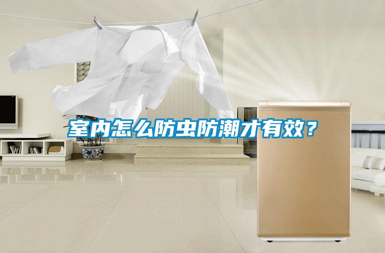 室内怎么防虫防潮才有效?
