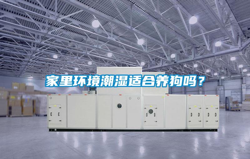 家里环境潮湿适合养狗吗?