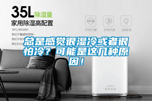 总是感觉很湿冷或者很怕冷?可能是这几种原因!