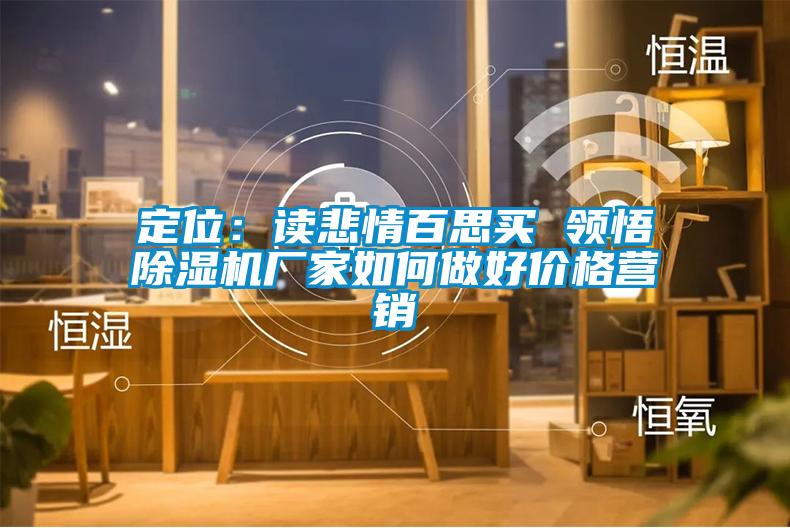 定位:读悲情百思买 领悟除湿机厂家如何做好价格营销