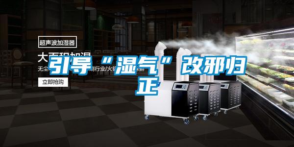 引导“湿气”改邪归正