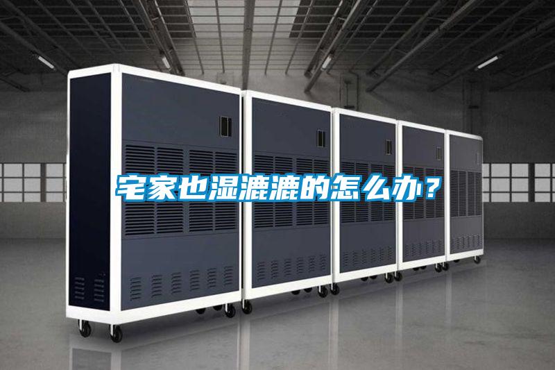 宅家也湿漉漉的怎么办?