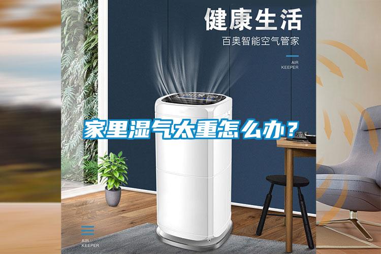 家里湿气太重怎么办?