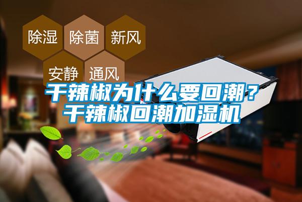 干辣椒为什么要回潮?干辣椒回潮加湿机