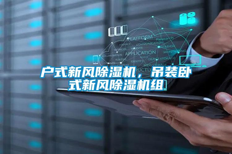 户式新风除湿机,吊装卧式新风除湿机组