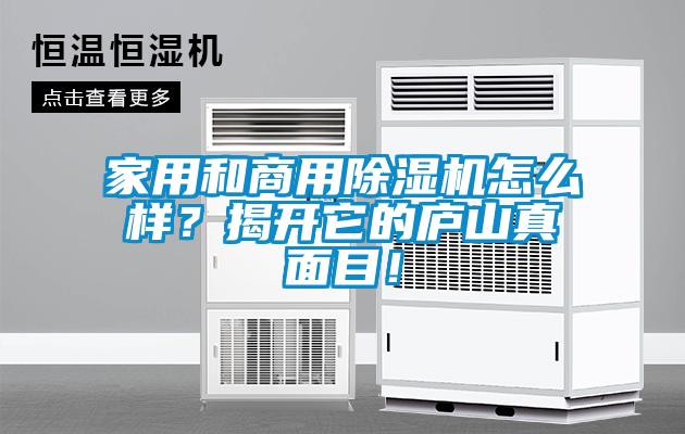 家用和商用除湿机怎么样?揭开它的庐山真面目!