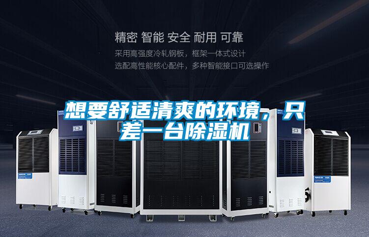 想要舒适清爽的环境,只差一台除湿机