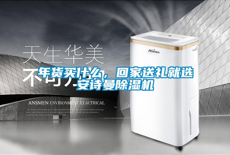 年货买什么,回家送礼就选安诗曼除湿机