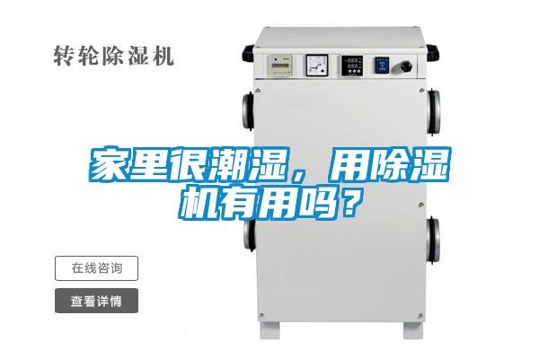 家里很潮湿,用除湿机有用吗?