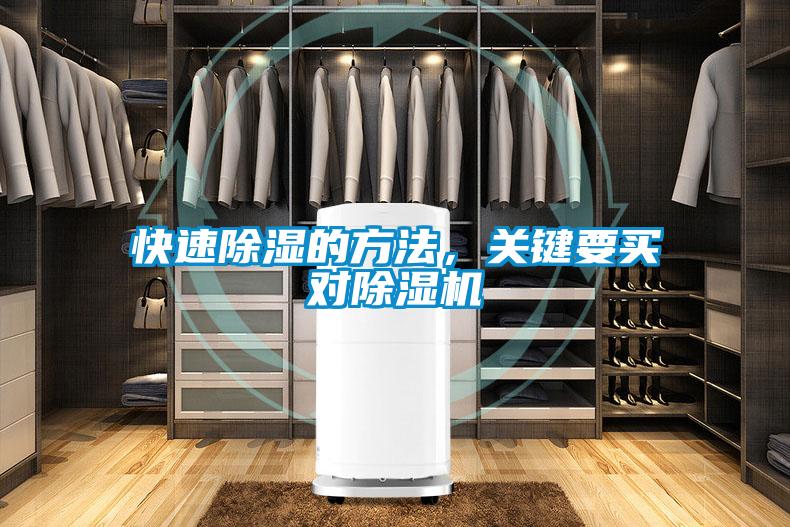 快速除湿的方法,关键要买对除湿机