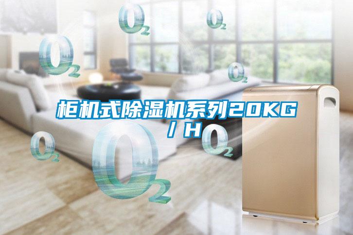 柜机式除湿机系列20KG/H