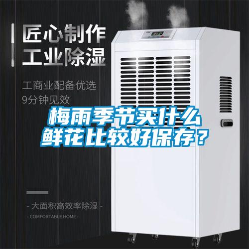 梅雨季节买什么鲜花比较好保存?