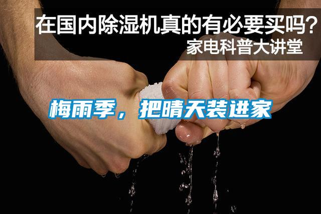 梅雨季,把晴天装进家