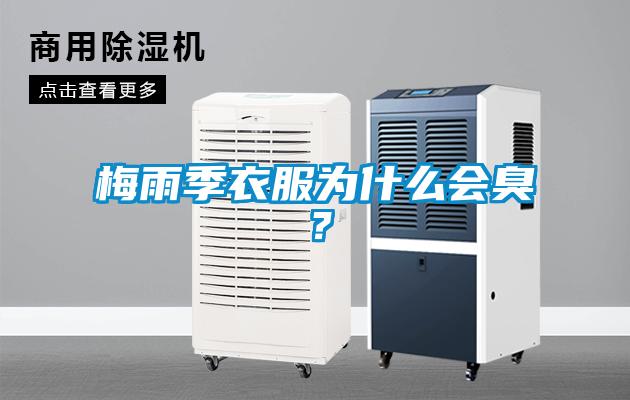 梅雨季衣服为什么会臭?