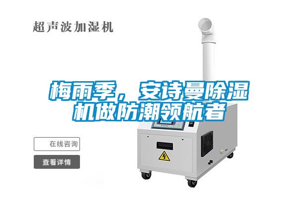 梅雨季,安诗曼除湿机做防潮领航者