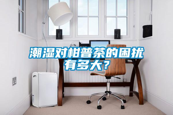 潮湿对柑普茶的困扰有多大?