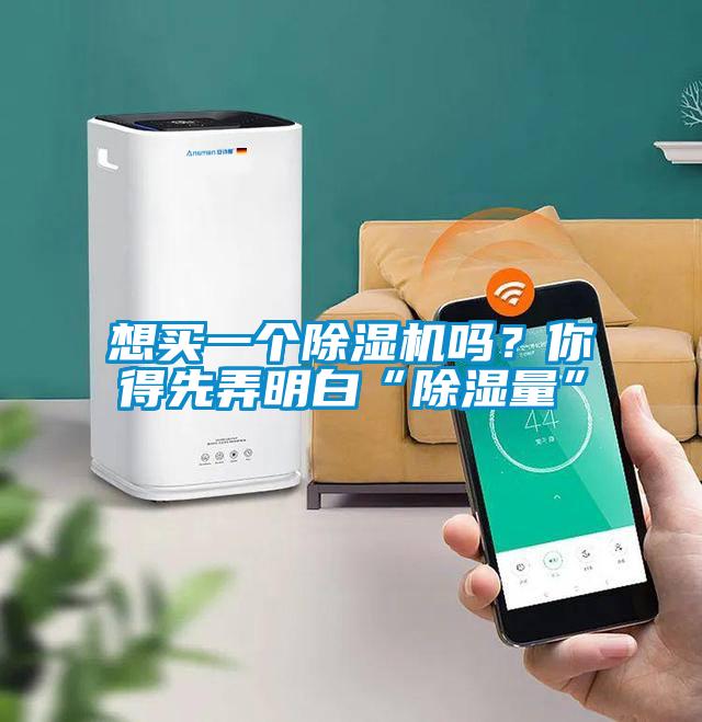 想买一个除湿机吗?你得先弄明白“除湿量”