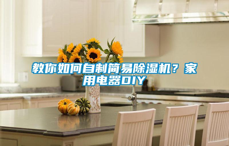 教你如何自制简易除湿机?家用电器DIY