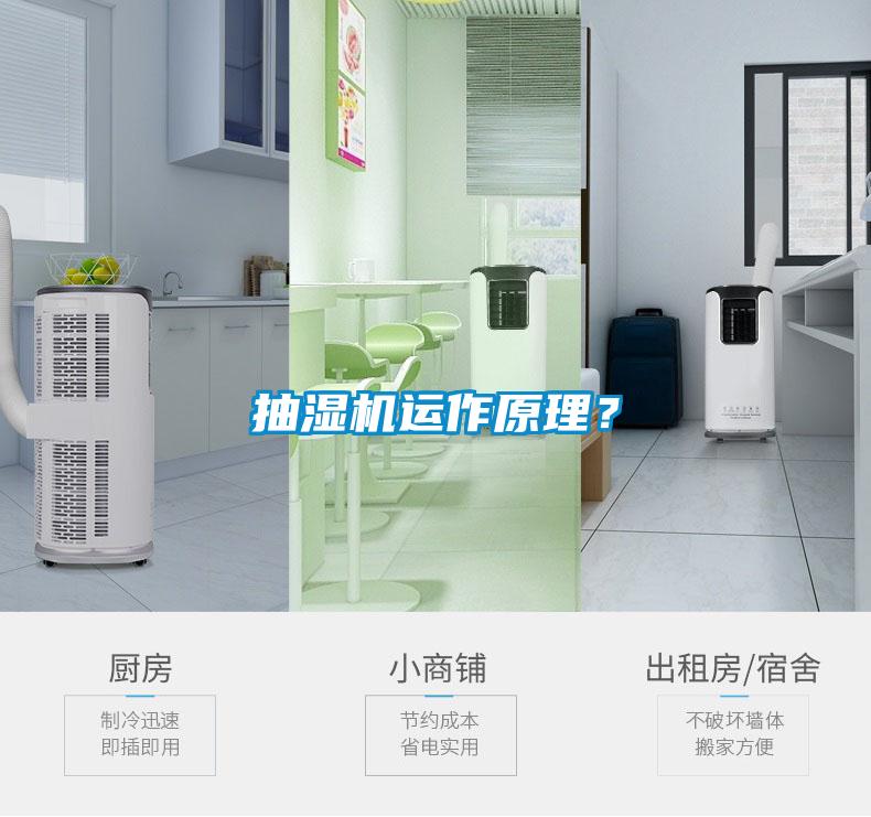 抽湿机运作原理?
