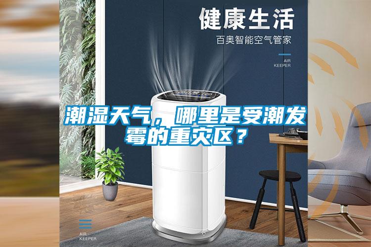 潮湿天气,哪里是受潮发霉的重灾区?