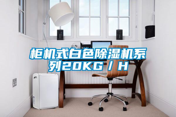 柜机式白色除湿机系列20KG/H