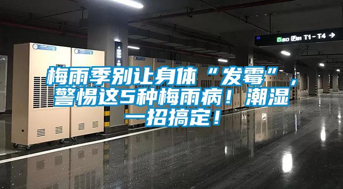 梅雨季别让身体“发霉”,警惕这5种梅雨病!潮湿一招搞定!