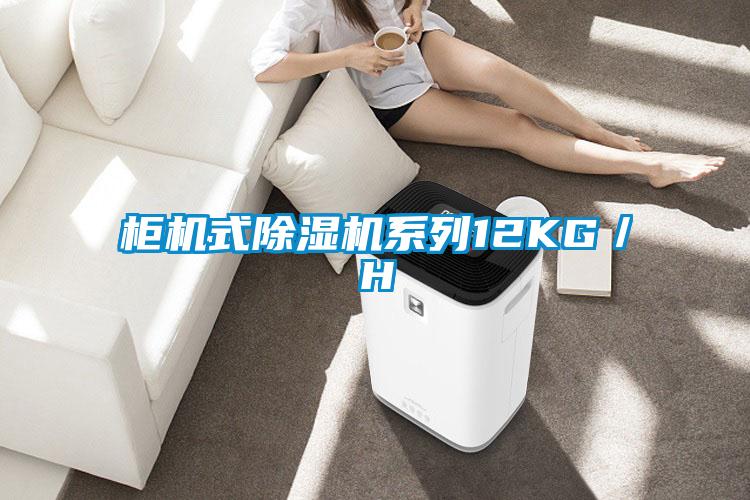 柜机式除湿机系列12KG/H