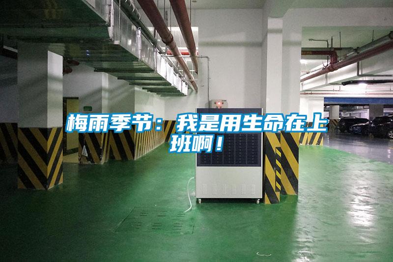 梅雨季节:我是用生命在上班啊!
