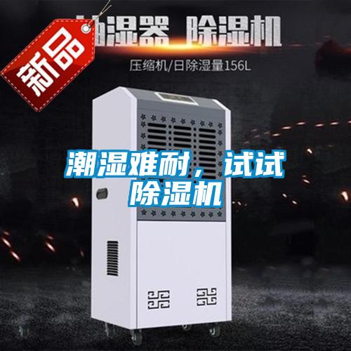 潮湿难耐,试试除湿机