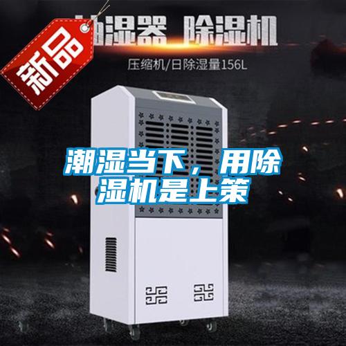 潮湿当下,用除湿机是上策