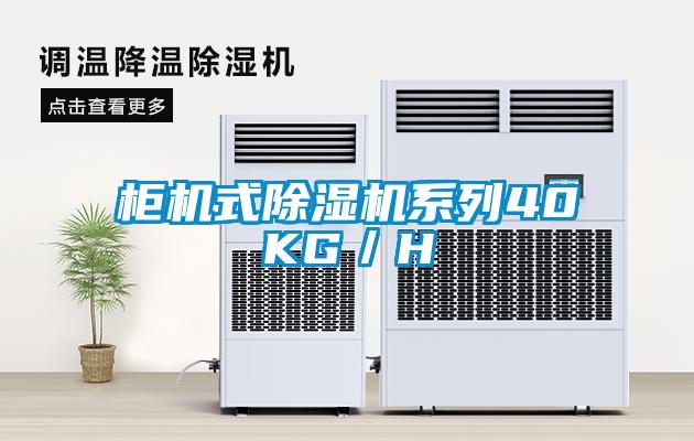 柜机式除湿机系列40KG/H