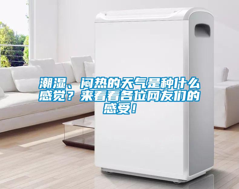 潮湿、闷热的天气是种什么感觉?来看看各位网友们的感受!
