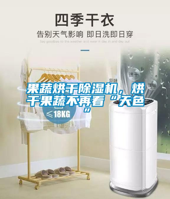 果蔬烘干除湿机,烘干果蔬不再看“天色”
